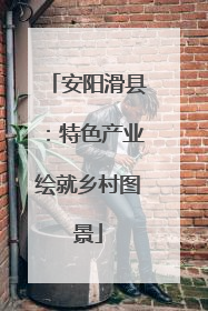 安阳滑县：特色产业绘就乡村图景